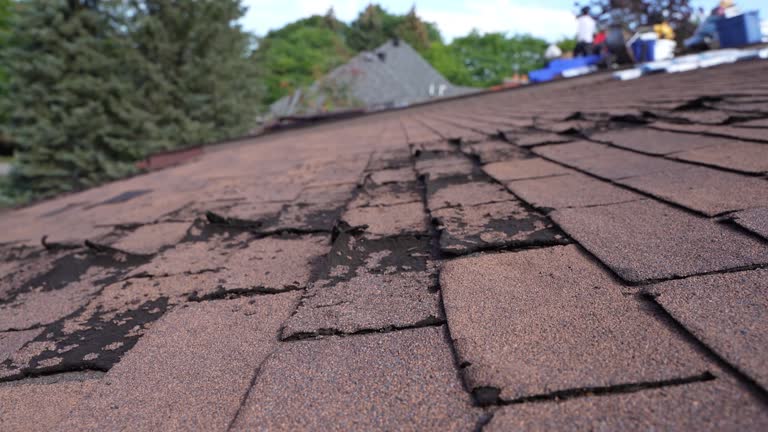 Trusted Natchez, MS Roofing Service Experts
